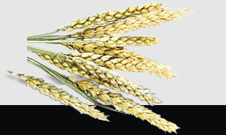 PG���ӡ�������(������Ϸ)�ٷ���վ