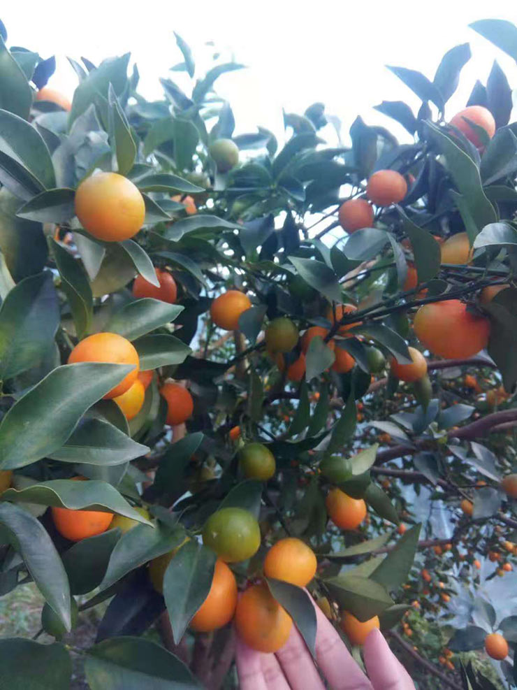 PG���ӡ�������(������Ϸ)�ٷ���վ