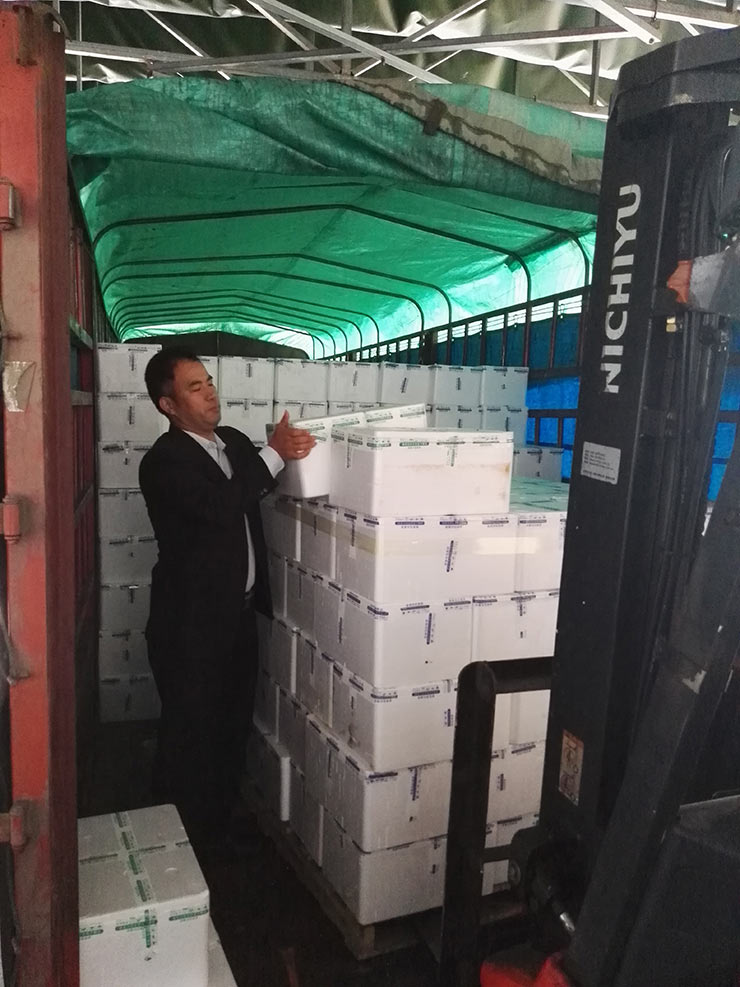 PG���ӡ�������(������Ϸ)�ٷ���վ