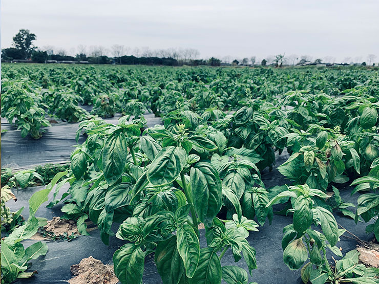 PG���ӡ�������(������Ϸ)�ٷ���վ