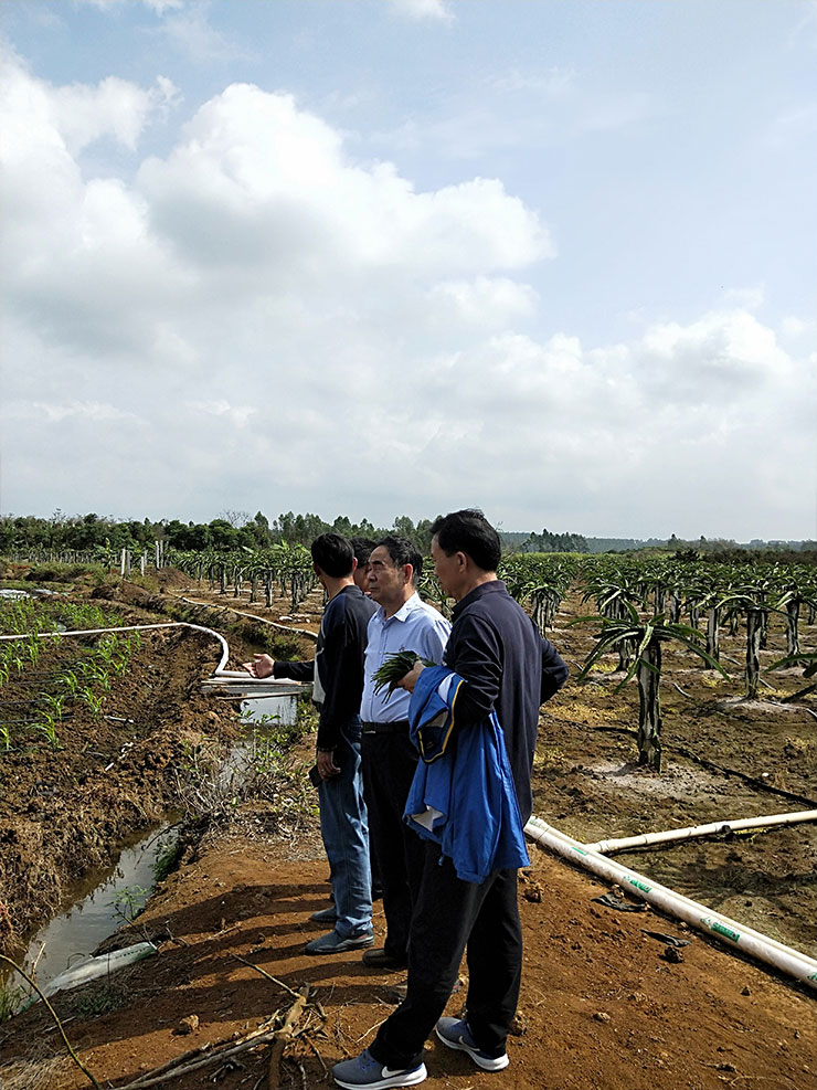 PG���ӡ�������(������Ϸ)�ٷ���վ