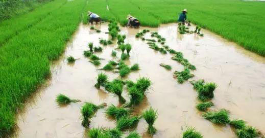 PG���ӡ�������(������Ϸ)�ٷ���վ