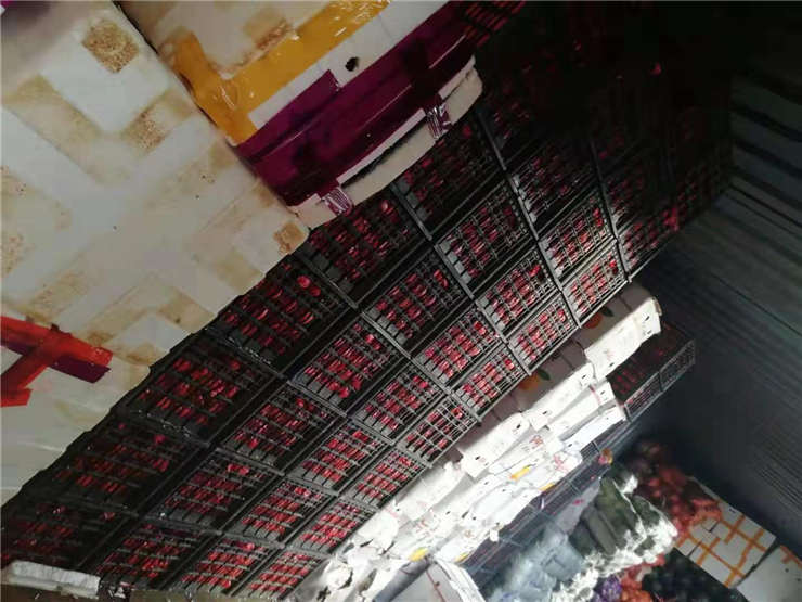 PG���ӡ�������(������Ϸ)�ٷ���վ