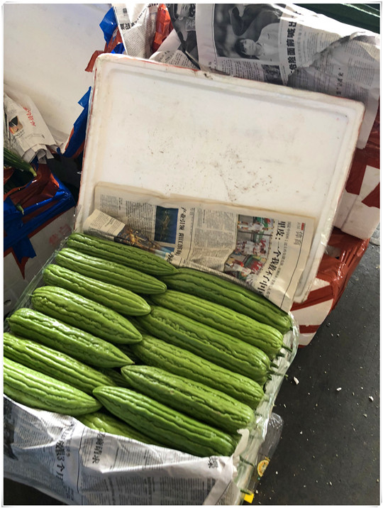 PG���ӡ�������(������Ϸ)�ٷ���վ