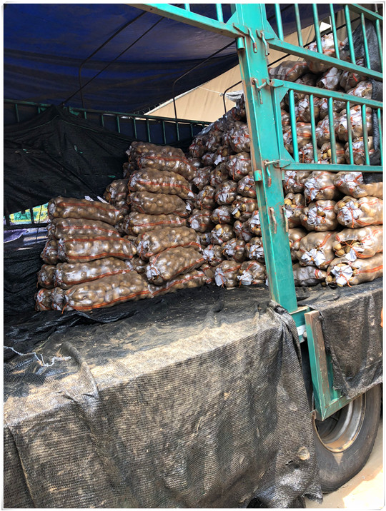 PG���ӡ�������(������Ϸ)�ٷ���վ