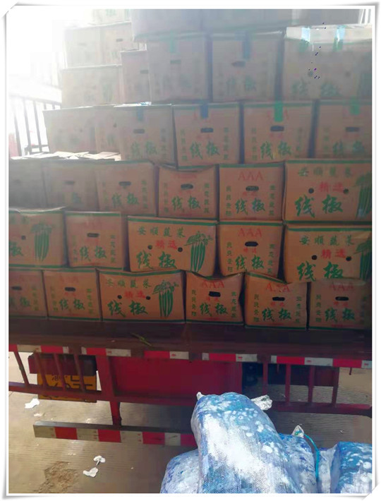 PG���ӡ�������(������Ϸ)�ٷ���վ