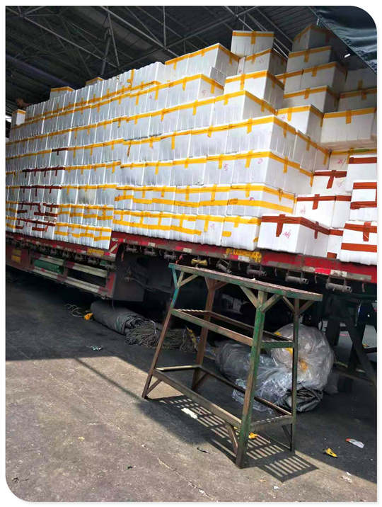 PG���ӡ�������(������Ϸ)�ٷ���վ