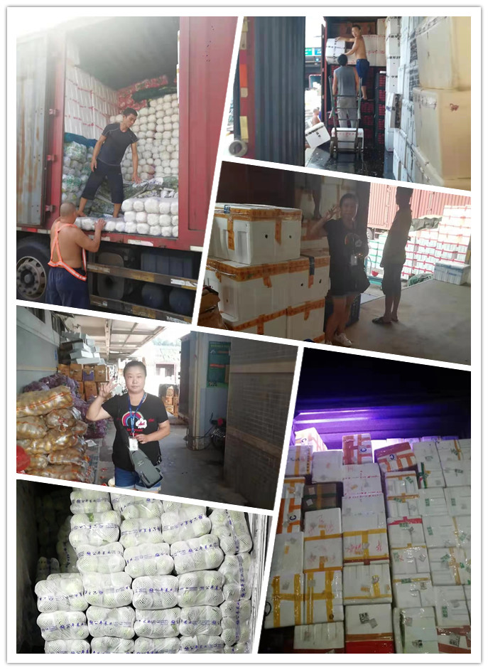 PG���ӡ�������(������Ϸ)�ٷ���վ