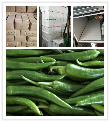 PG���ӡ�������(������Ϸ)�ٷ���վ