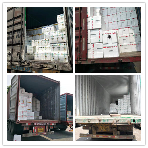 PG���ӡ�������(������Ϸ)�ٷ���վ