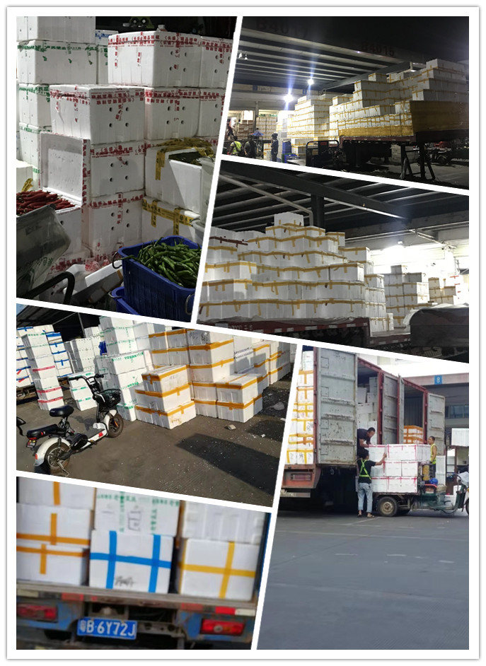 PG���ӡ�������(������Ϸ)�ٷ���վ