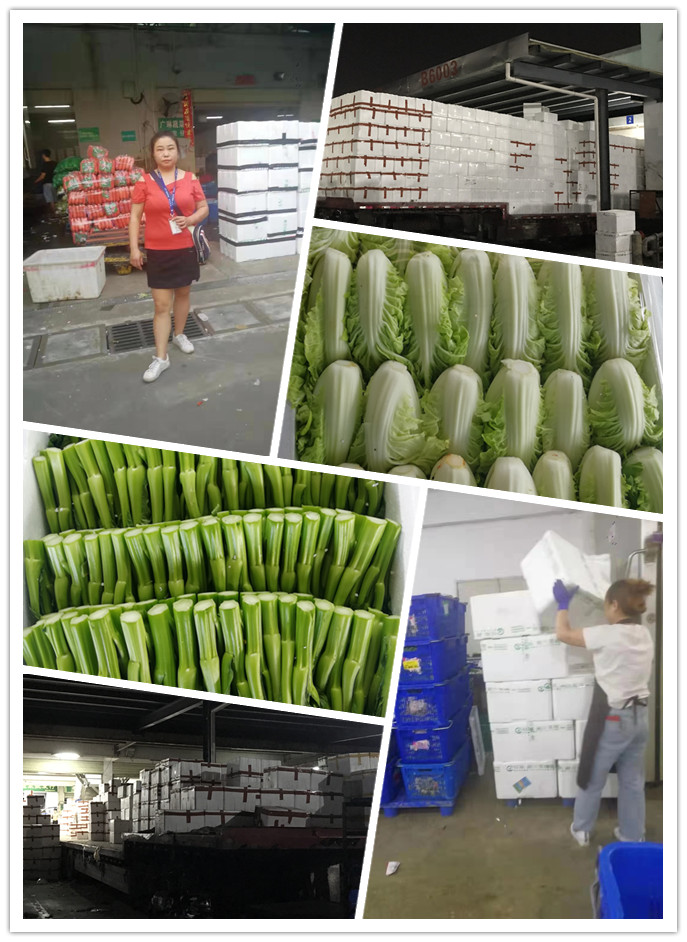 PG���ӡ�������(������Ϸ)�ٷ���վ