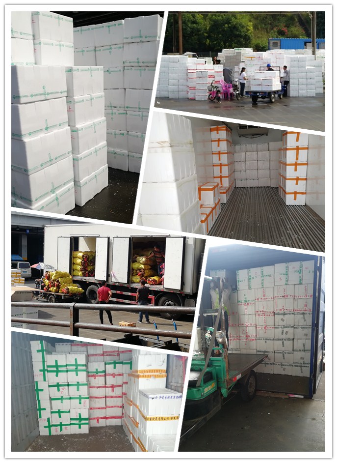 PG���ӡ�������(������Ϸ)�ٷ���վ