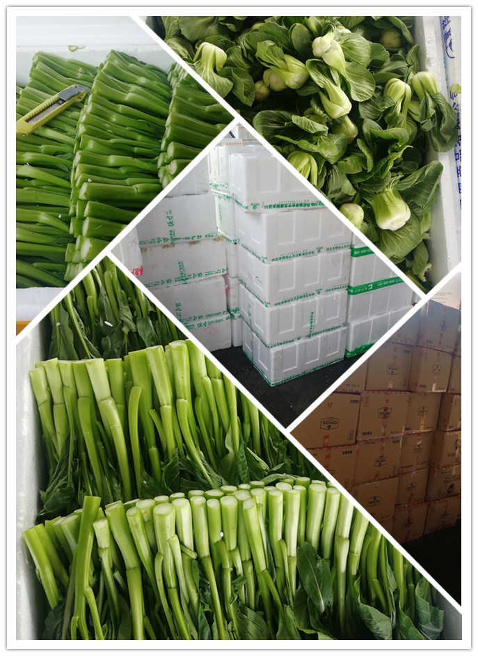 PG���ӡ�������(������Ϸ)�ٷ���վ