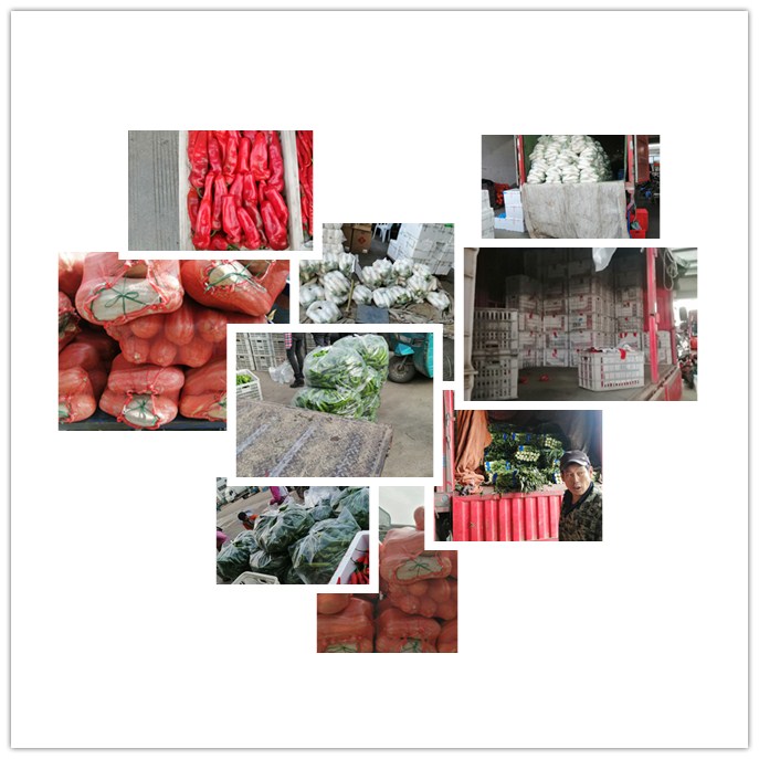 PG���ӡ�������(������Ϸ)�ٷ���վ