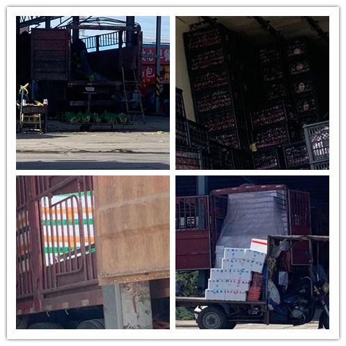 PG���ӡ�������(������Ϸ)�ٷ���վ