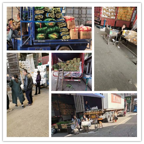 PG���ӡ�������(������Ϸ)�ٷ���վ