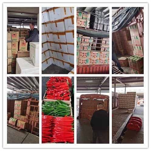 PG���ӡ�������(������Ϸ)�ٷ���վ