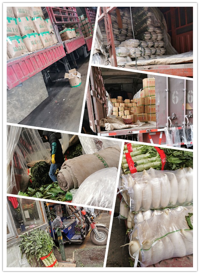 PG���ӡ�������(������Ϸ)�ٷ���վ