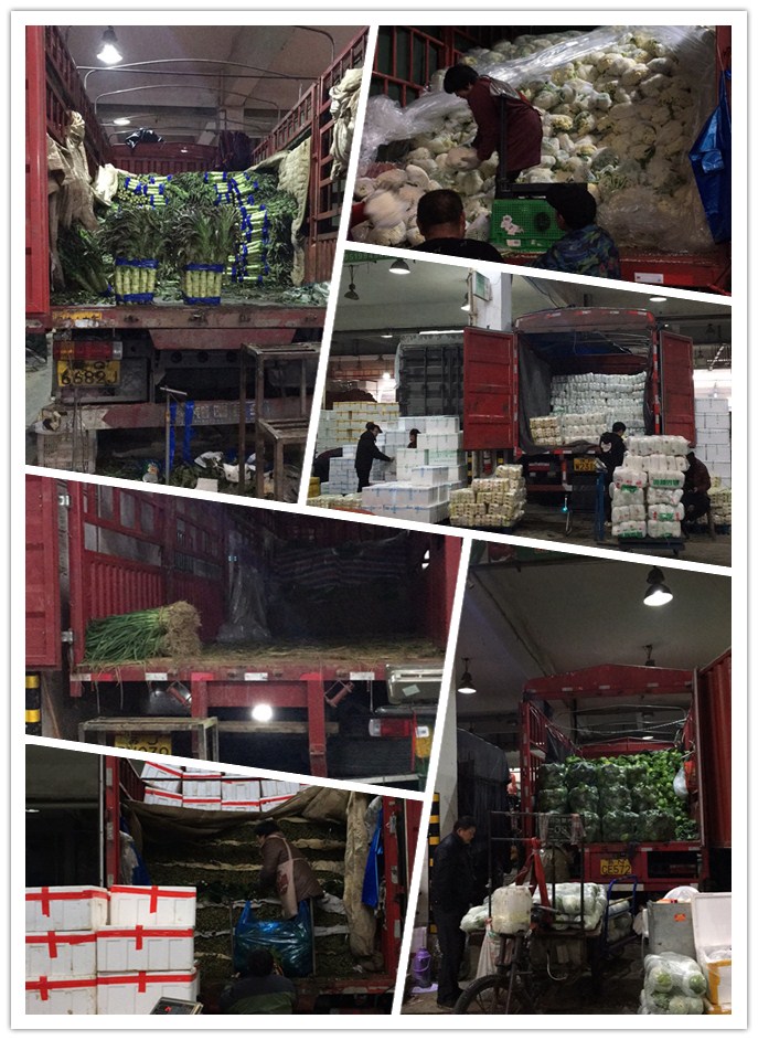 PG���ӡ�������(������Ϸ)�ٷ���վ