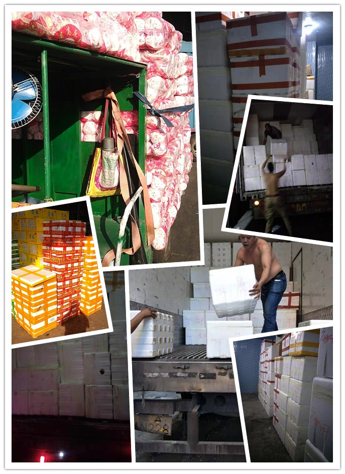 PG���ӡ�������(������Ϸ)�ٷ���վ