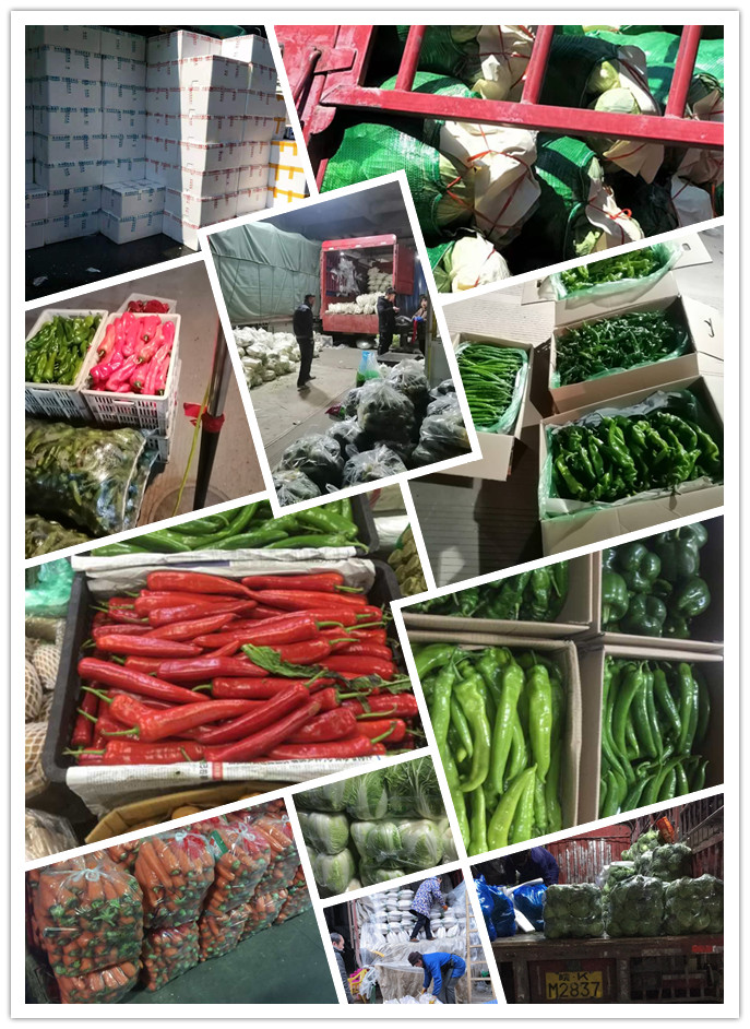 PG���ӡ�������(������Ϸ)�ٷ���վ