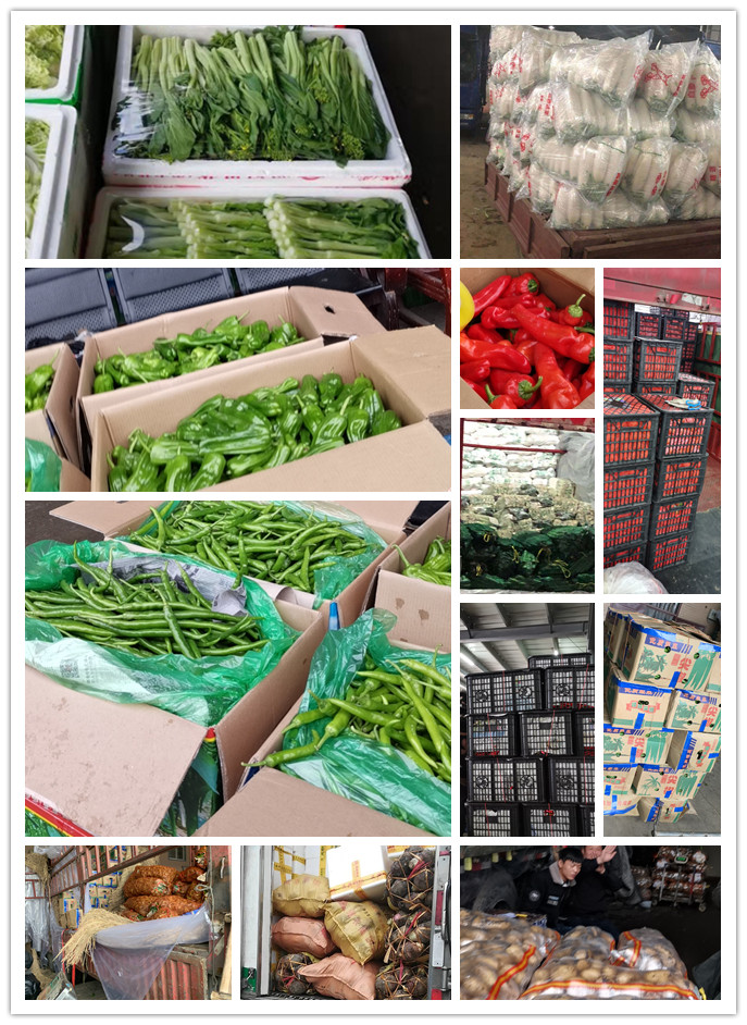 PG���ӡ�������(������Ϸ)�ٷ���վ