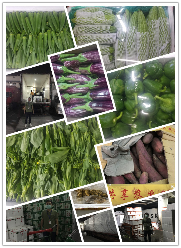 PG���ӡ�������(������Ϸ)�ٷ���վ