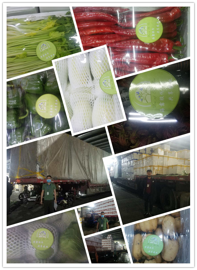 PG���ӡ�������(������Ϸ)�ٷ���վ