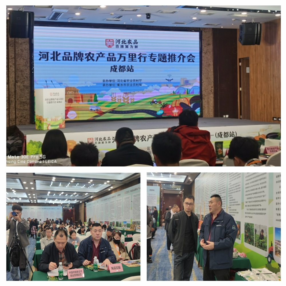 PG���ӡ�������(������Ϸ)�ٷ���վ