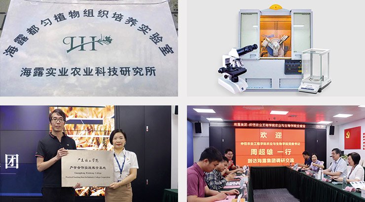 PG���ӡ�������(������Ϸ)�ٷ���վ