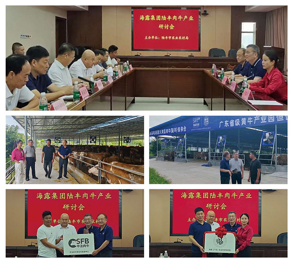 PG���ӡ�������(������Ϸ)�ٷ���վ