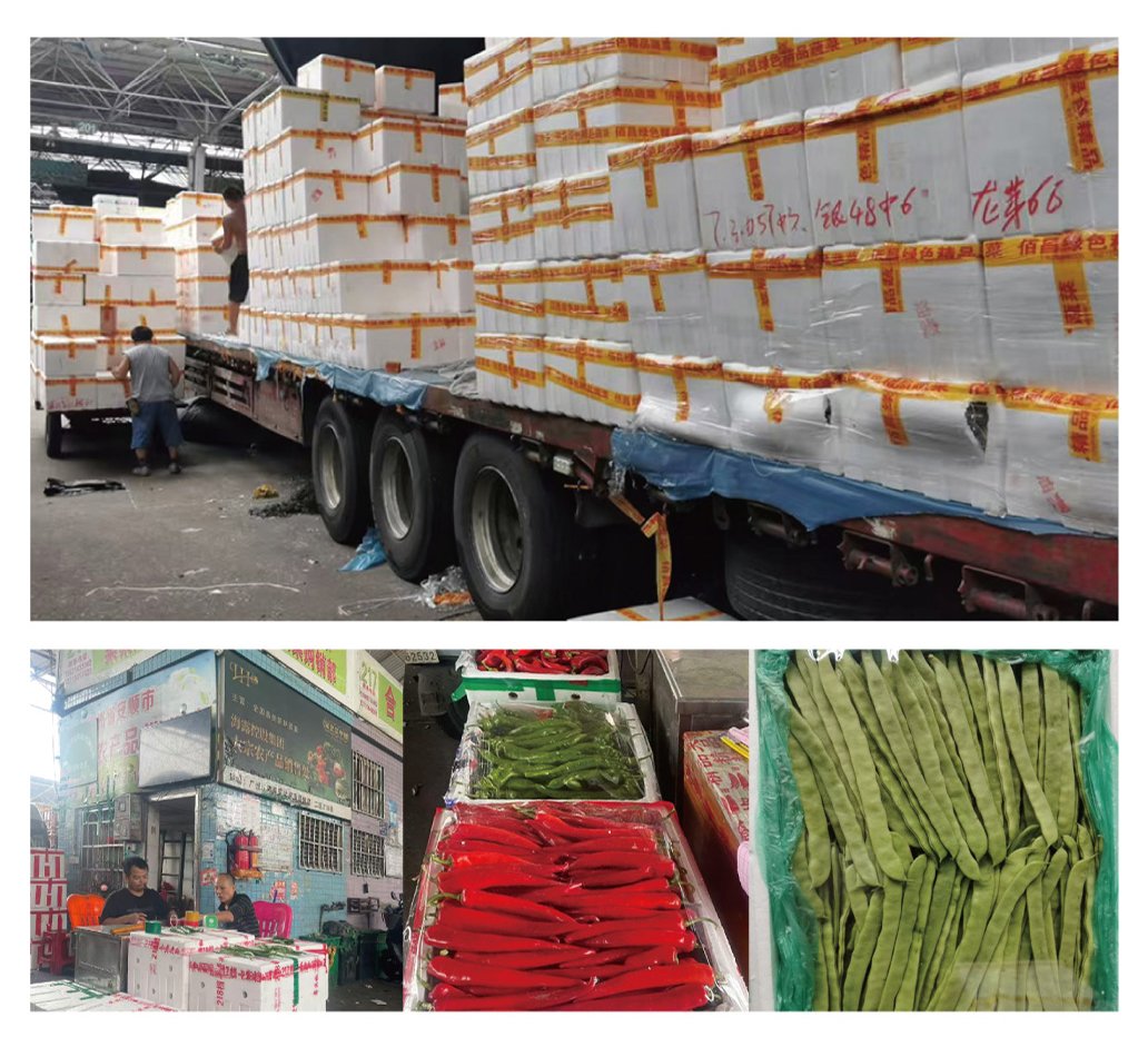 PG���ӡ�������(������Ϸ)�ٷ���վ